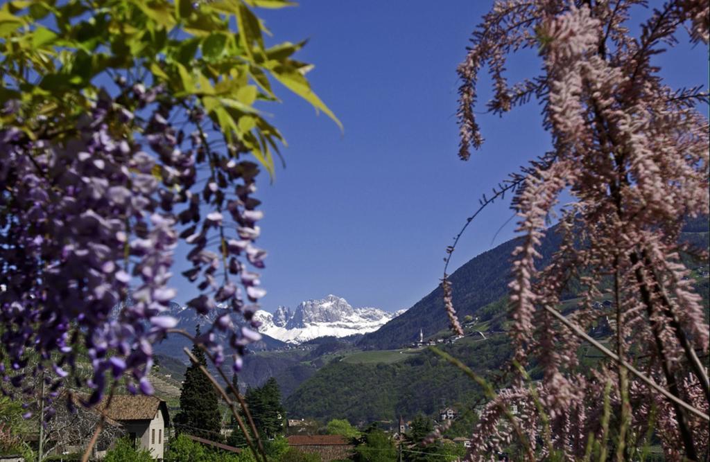 Hotel Rentschnerhof Bolzano Exterior photo